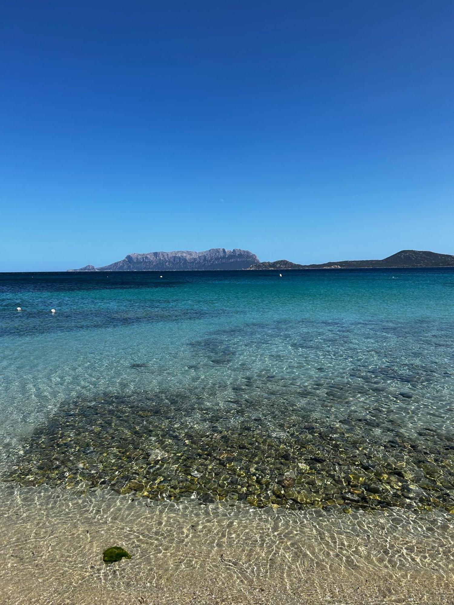 Villa Ulivo Olbia Buitenkant foto